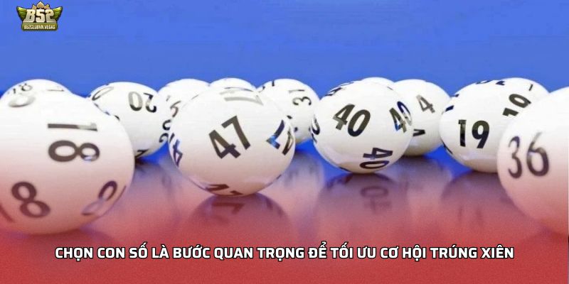 Chọn con số là bước quan trọng để tối ưu cơ hội trúng xiên